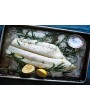 Filetto di Halibut Groelandia