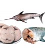 Tranci di Pesce spada