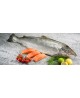 Fiori di Salmone Norvegese Verace